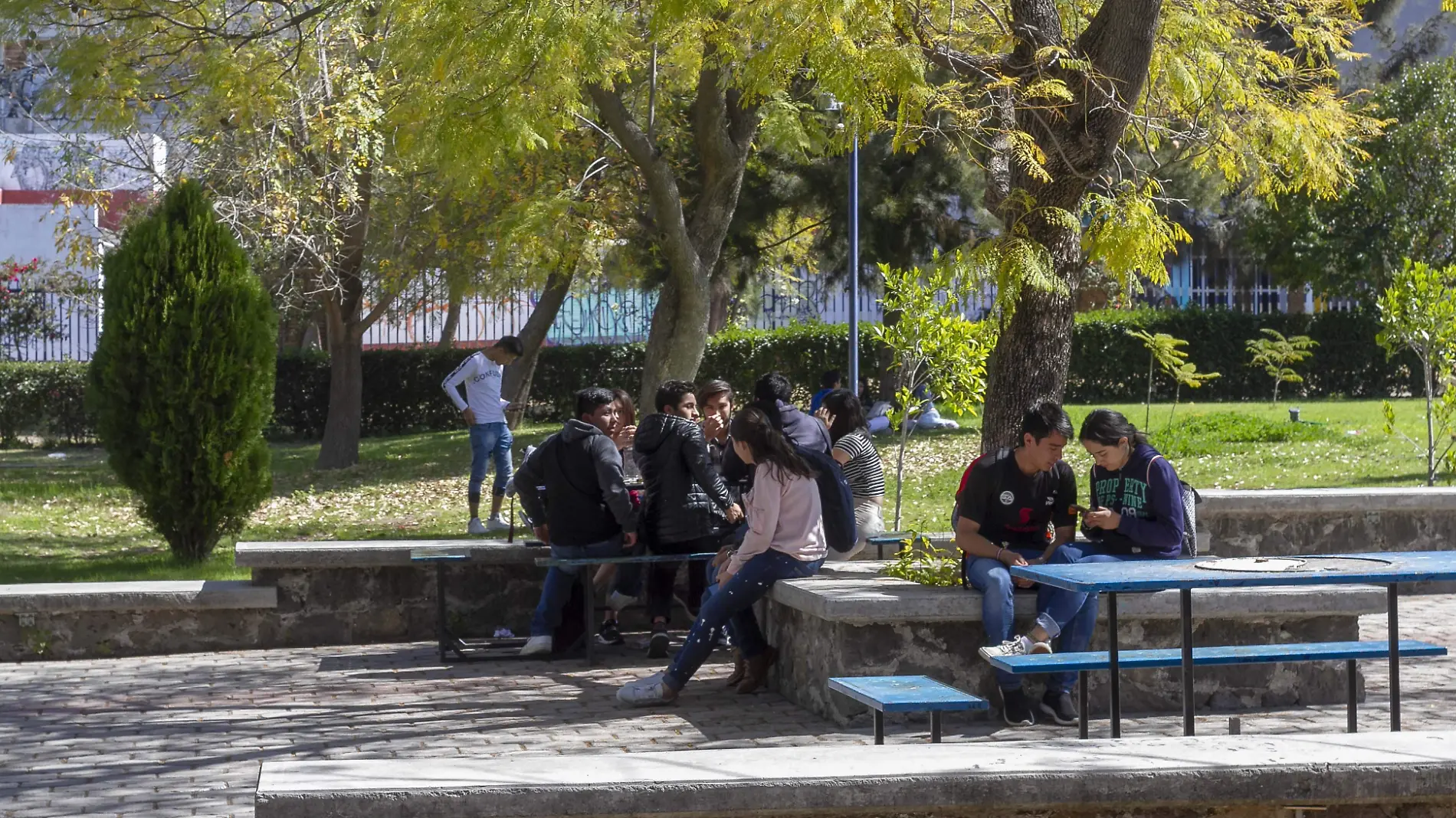 Realizarán actividades de integración entre los alumnos.